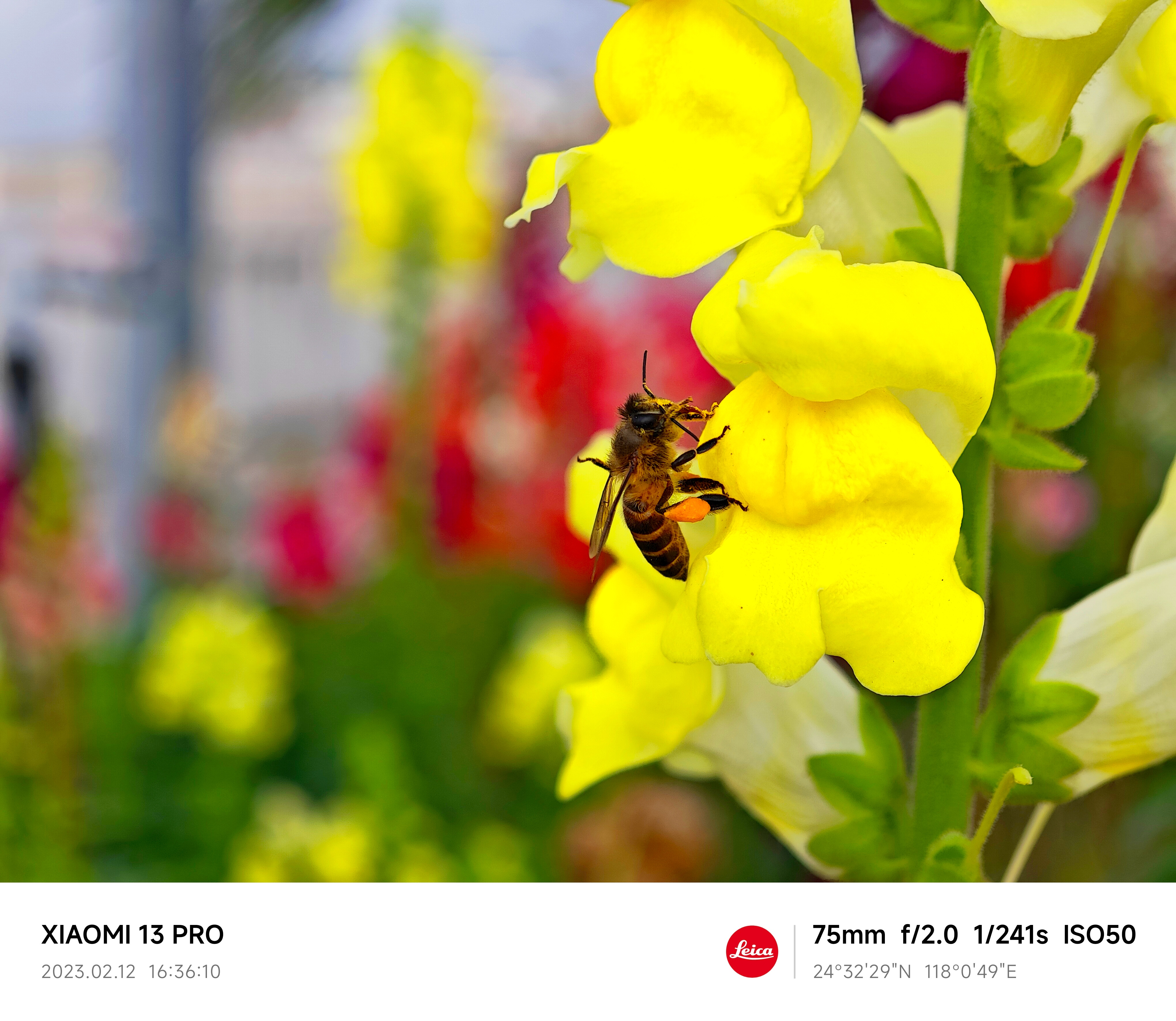 �ٲ�cbin(�й���)�ٷ���վ